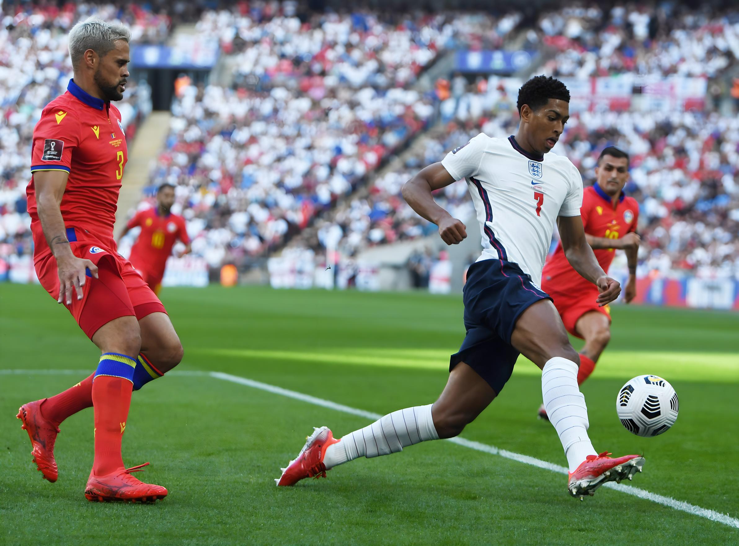 了整个赛事 了整个赛事