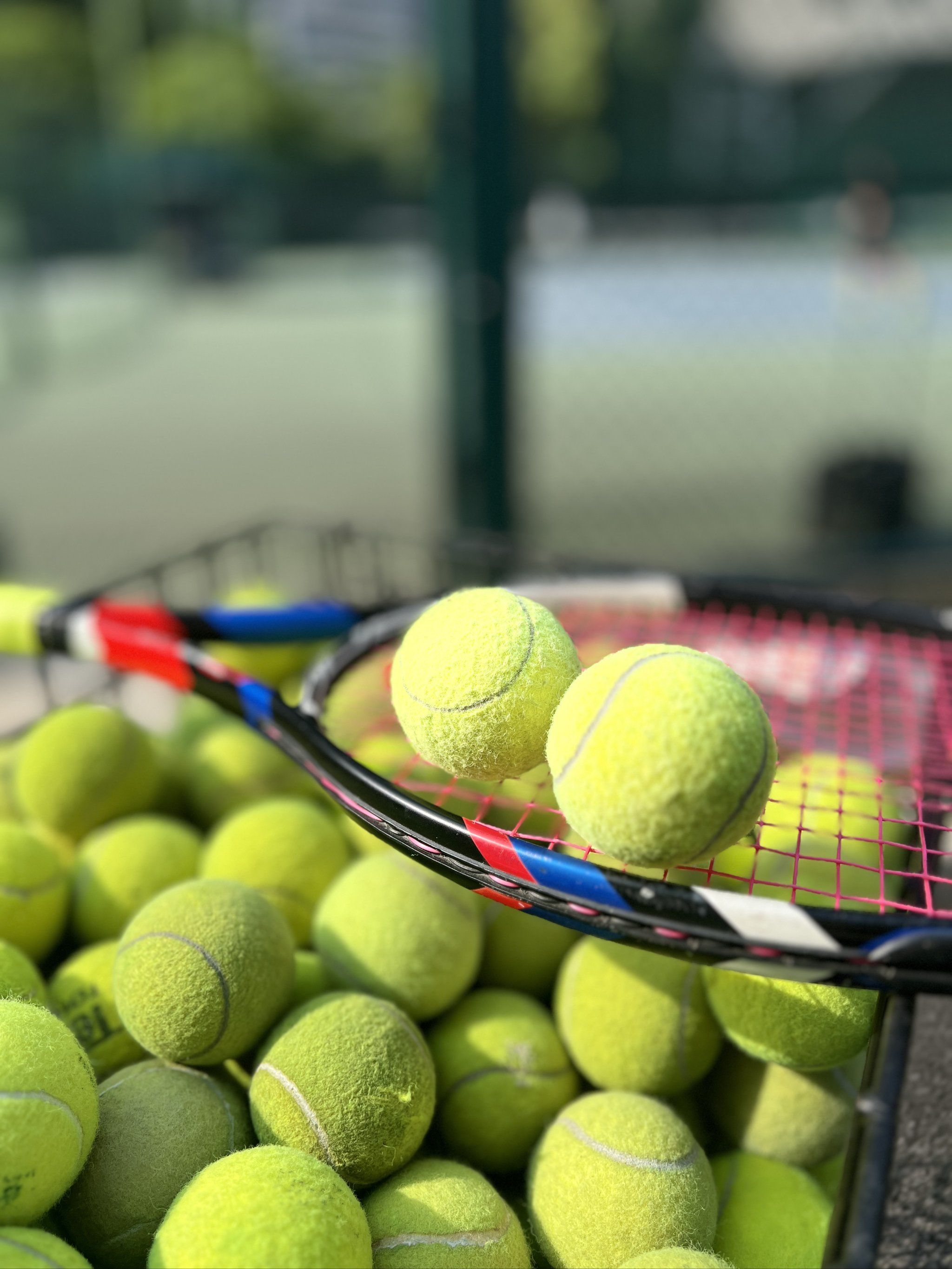 球员必须符 球员必须符